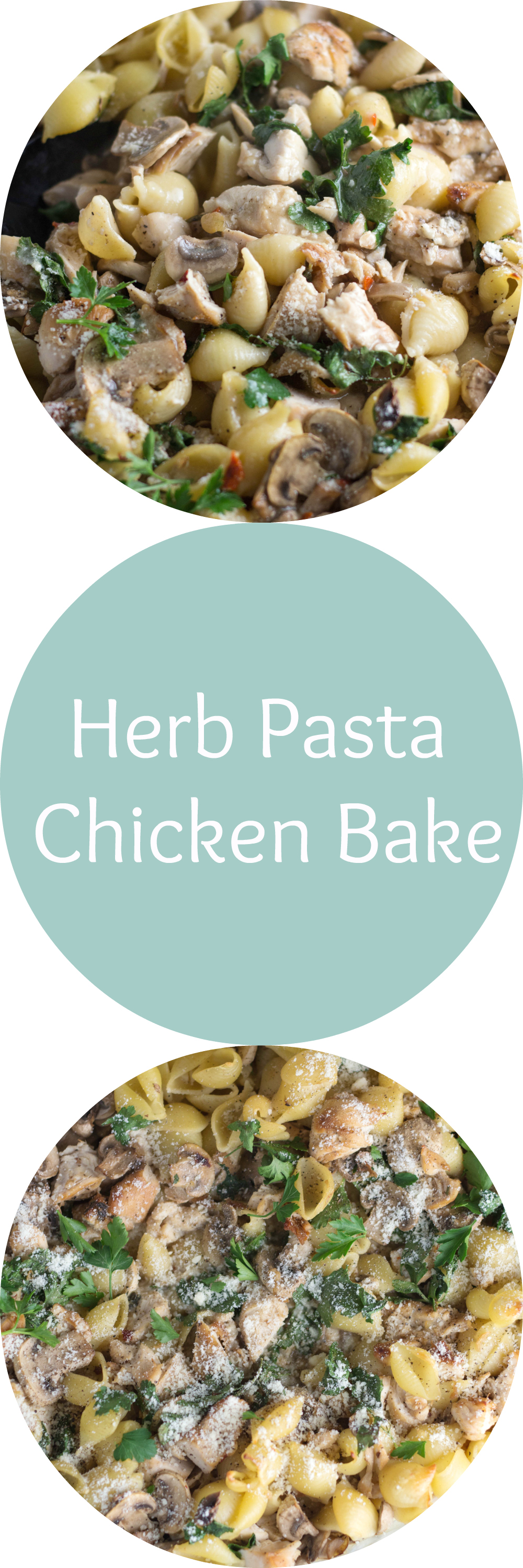 Herb Chicken Pasta Bake Krolls Korner
