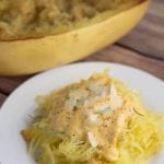 Nothing screams Fall more than this Pumpkin Alfredo Sauce! Perfect on Spaghetti Squash or regular pasta - you will not be disappointed! Krollskorner.com