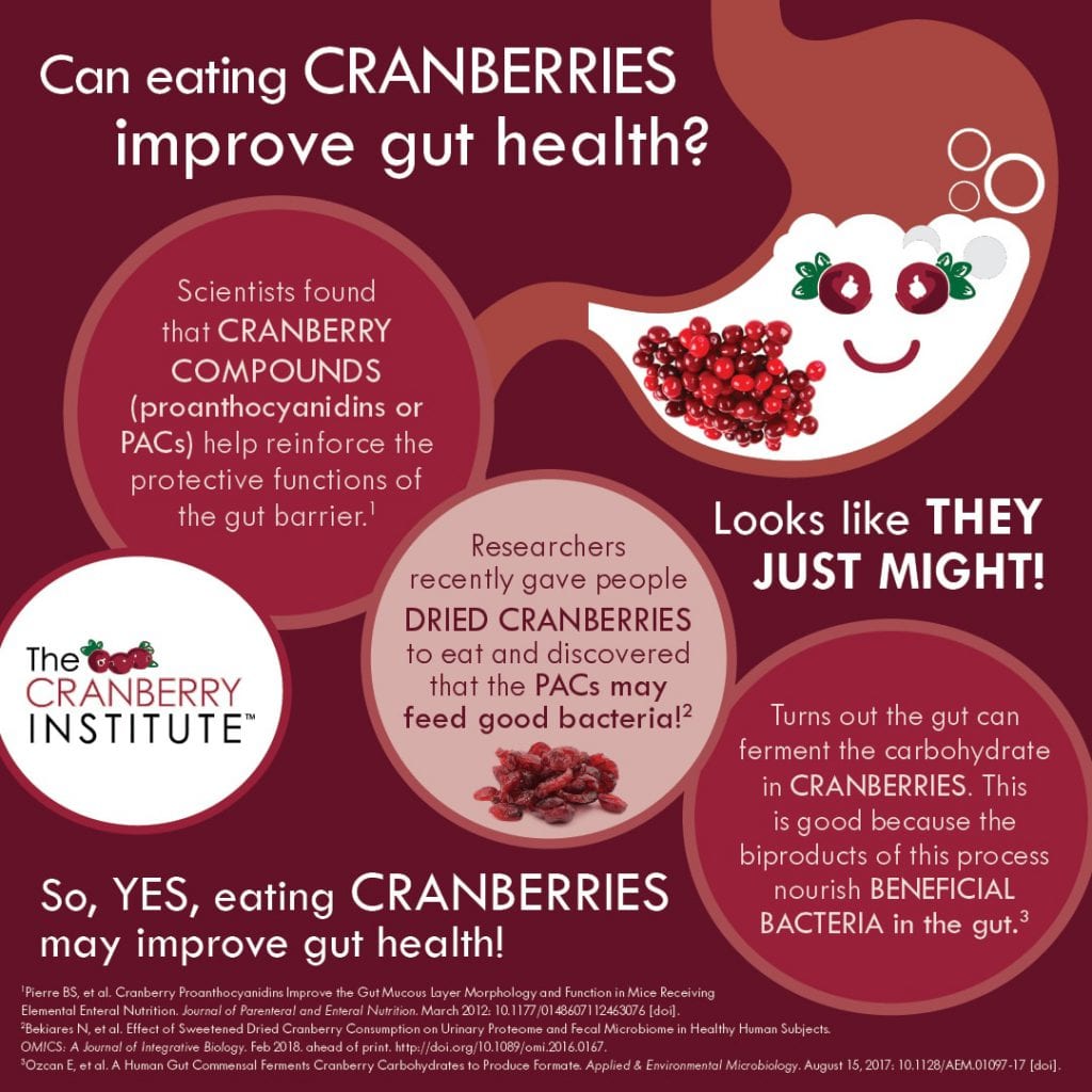 A graphic on cranberries and gut health