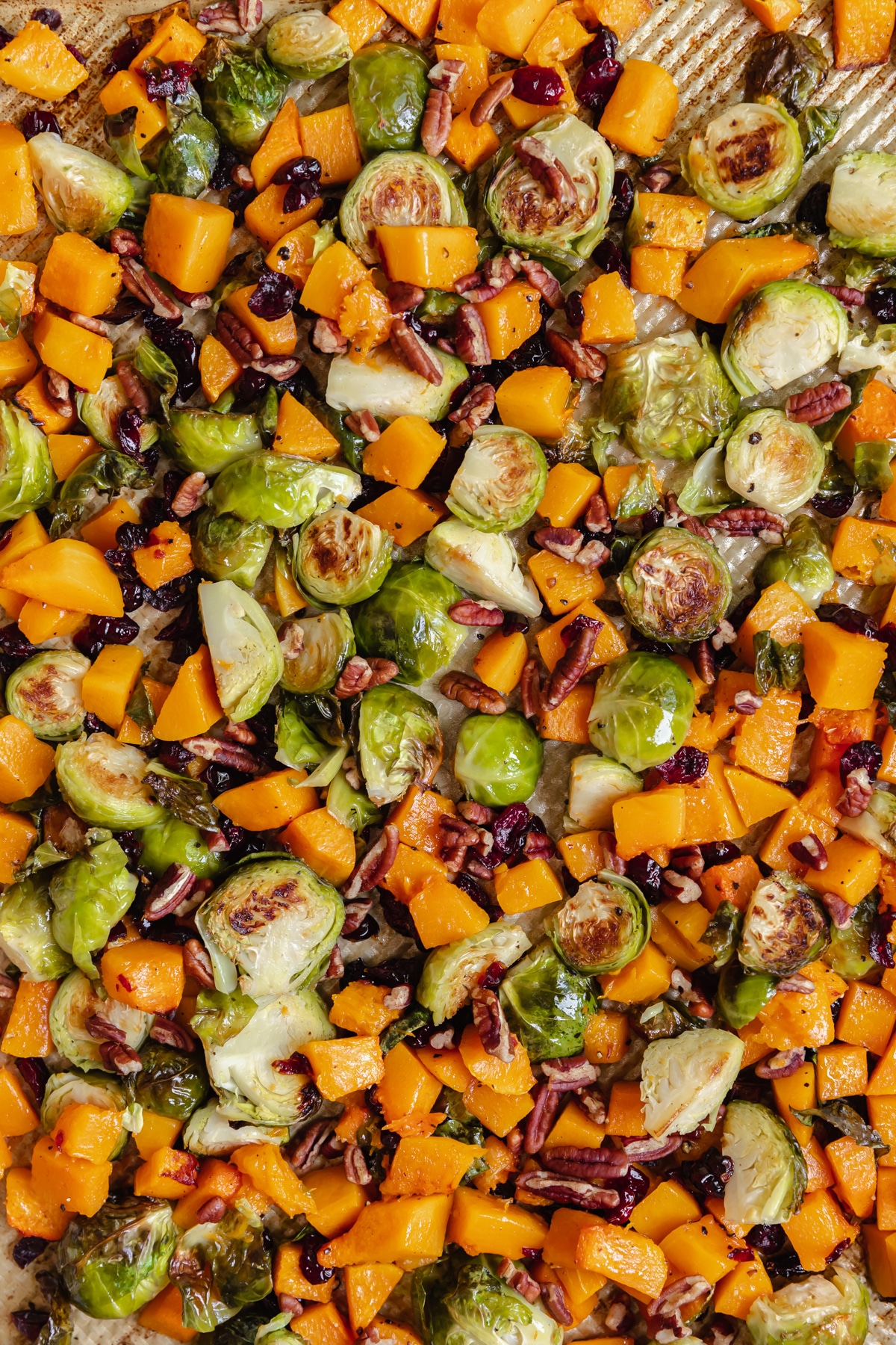 Roasted Brussels Sprouts & Butternut Squash • Kroll's Korner