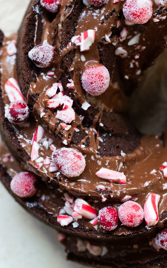 chocolate bundt cake with chocolate frosting and sugared cranberries