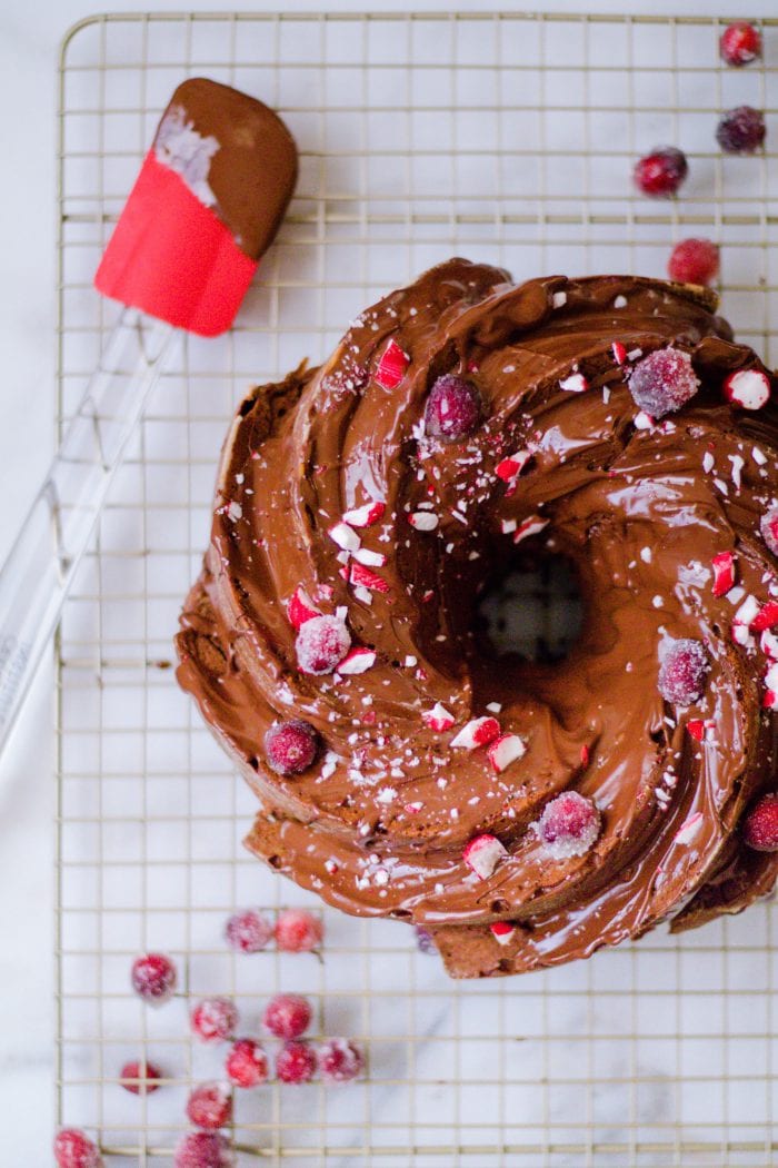 chocolate bundt cake with chocolate frosting and sugared cranberries