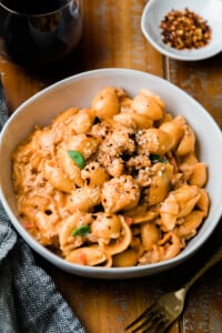 creamy shell pasta in a white bowl