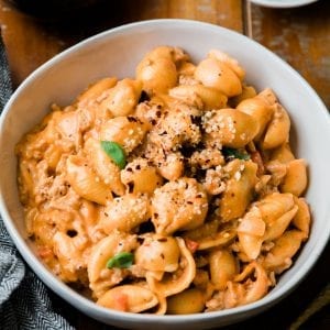 creamy shell pasta in a white bowl