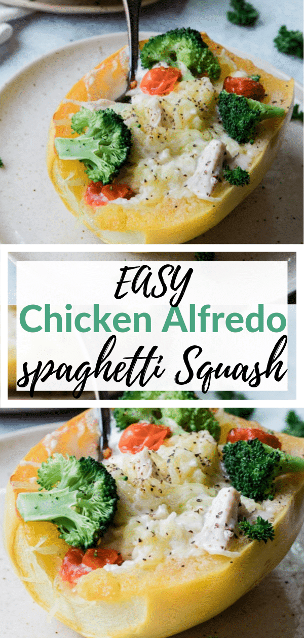 Healthier Spaghetti Squash Chicken Alfredo - Kroll's Korner