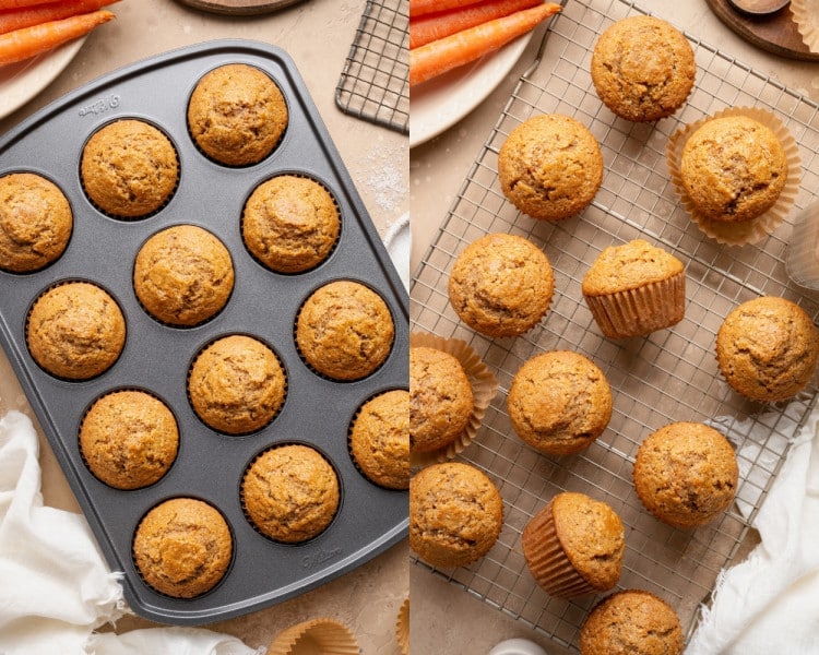 Freshly baked carrot cake muffins in a muffin pan and cooling on a wire rack with tall, golden domed tops.