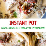 chicken in a creamy sun dried tomato sauce