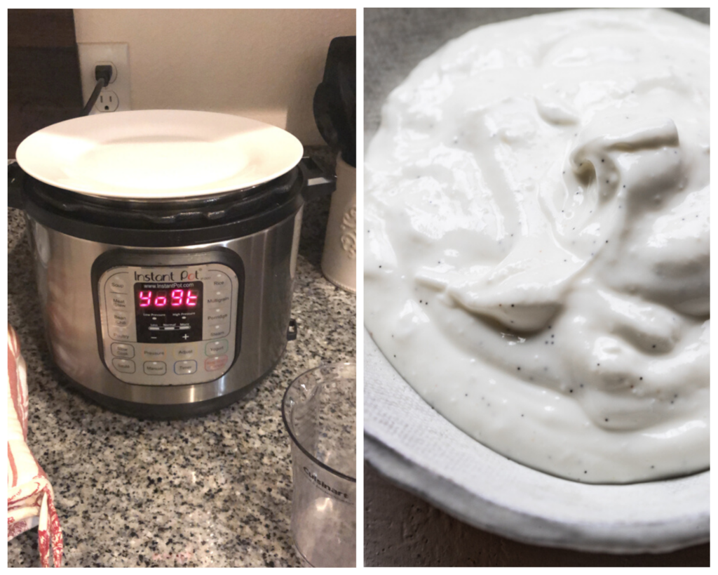 instant pot and vanilla bean yogurt