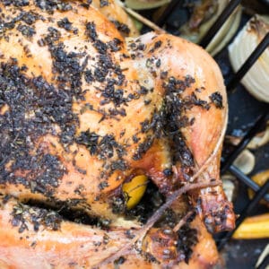 a roasted chicken in a roasting pan