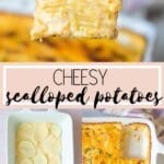 cheesy scalloped potatoes on a plate