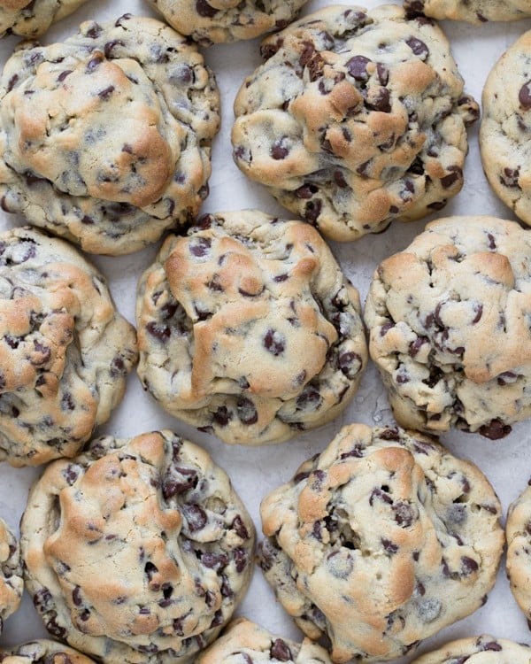 Giant Chocolate Chip Cookie {Perfect for a Bake Sale}