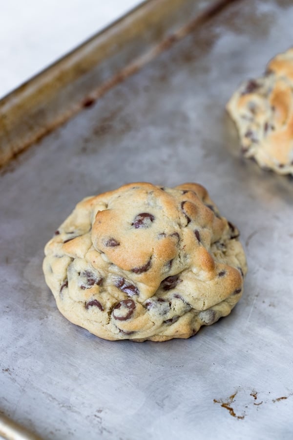 freshly baked baked chocolate chip cookies