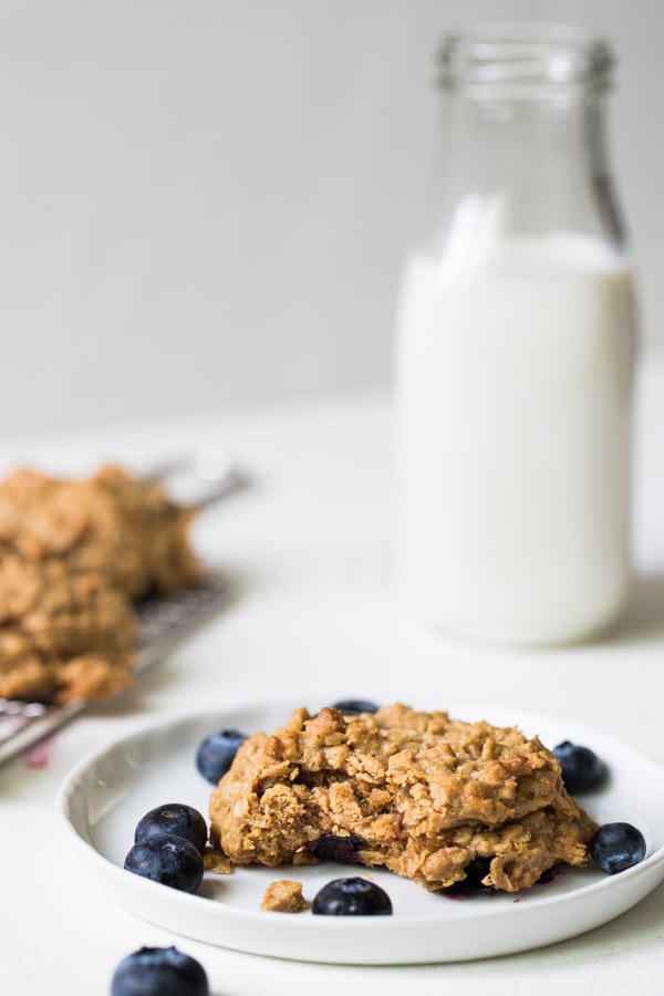 gluten free peanut butter blueberry cookie on a white plate