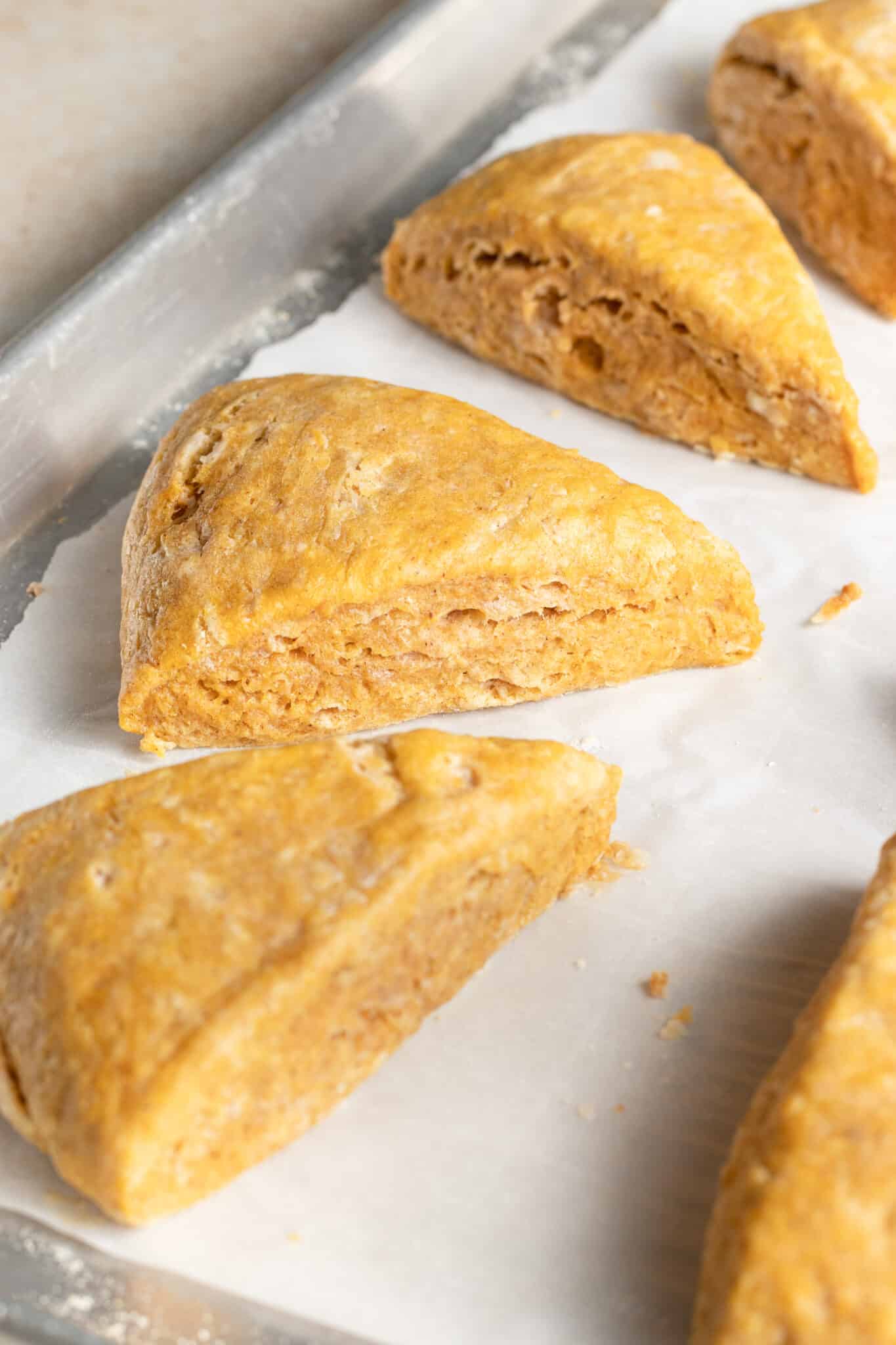 freshly baked pumpkin scones on parchment paper. 