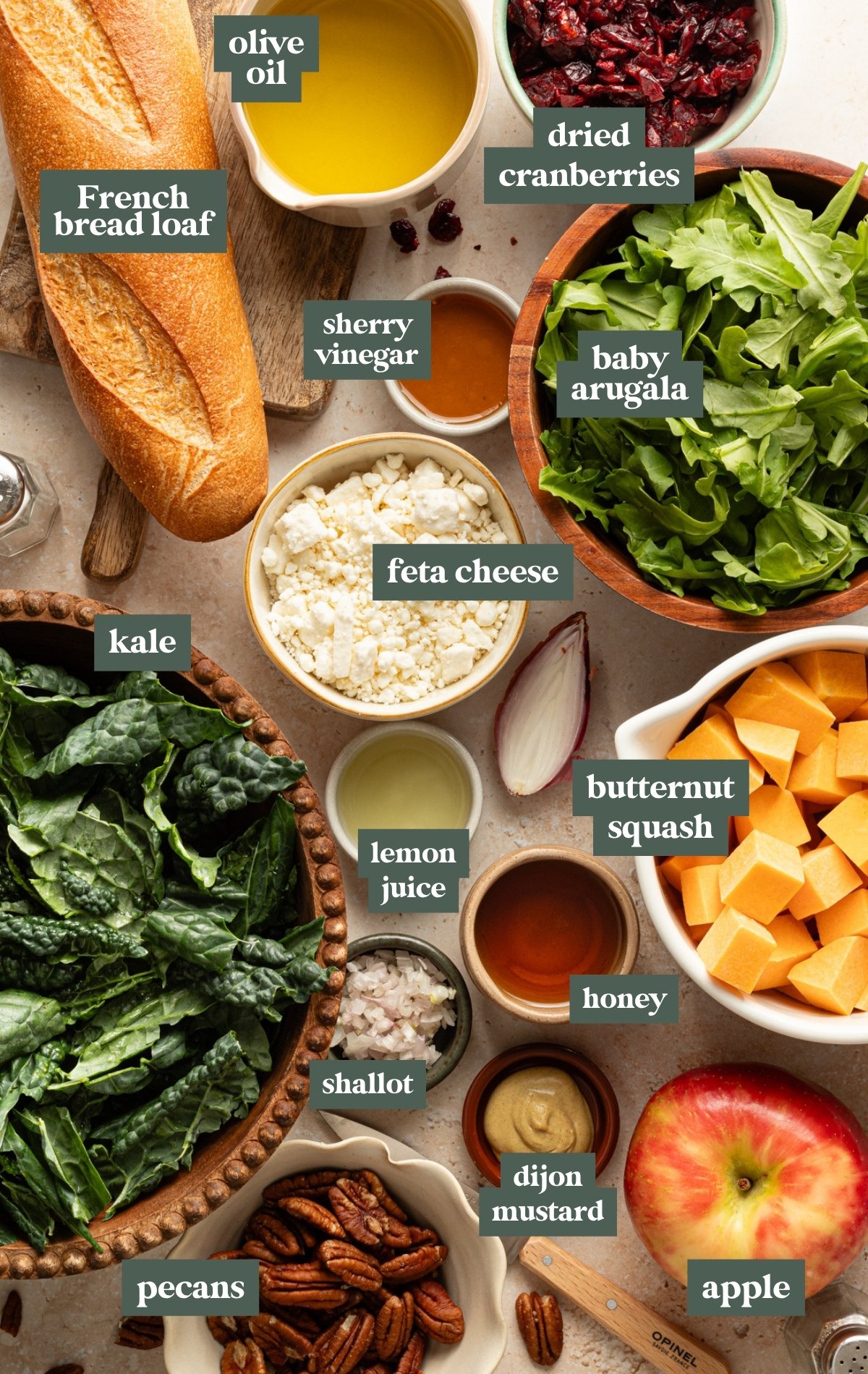 Overhead view of labeled ingredients for a fall panzanella salad including kale, arugula, butternut squash, French bread loaf, apple, feta cheese, olive oil, pecans, shallot, lemon juice, Dijon mustard, honey, sherry vinegar, and dried cranberries.