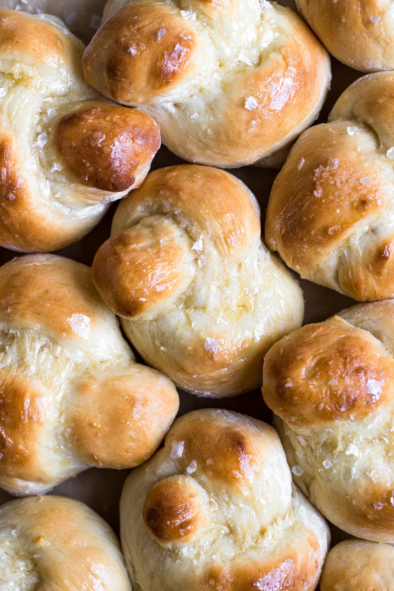 freshly baked bread rolls