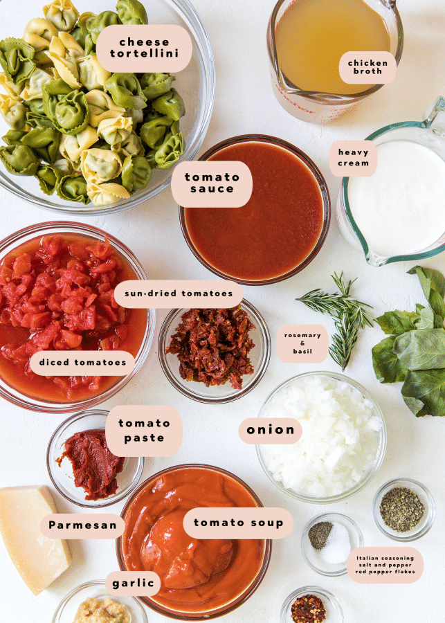 ingredients needed to make 30 minute tomato soup