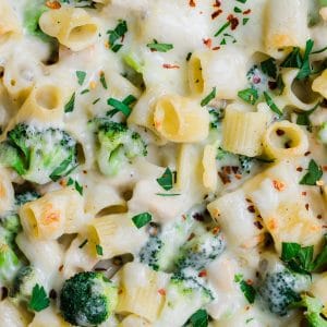 an up close photo of pasta with broccoli covered in cheese