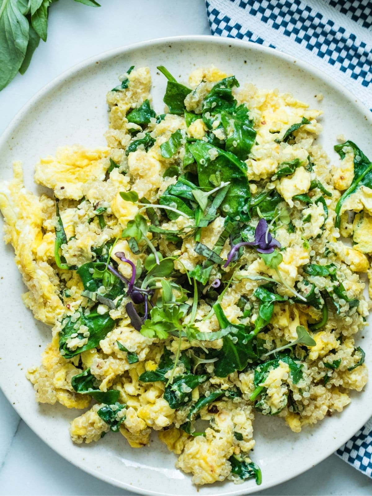 High Protein Quinoa Egg Scramble • Kroll's Korner