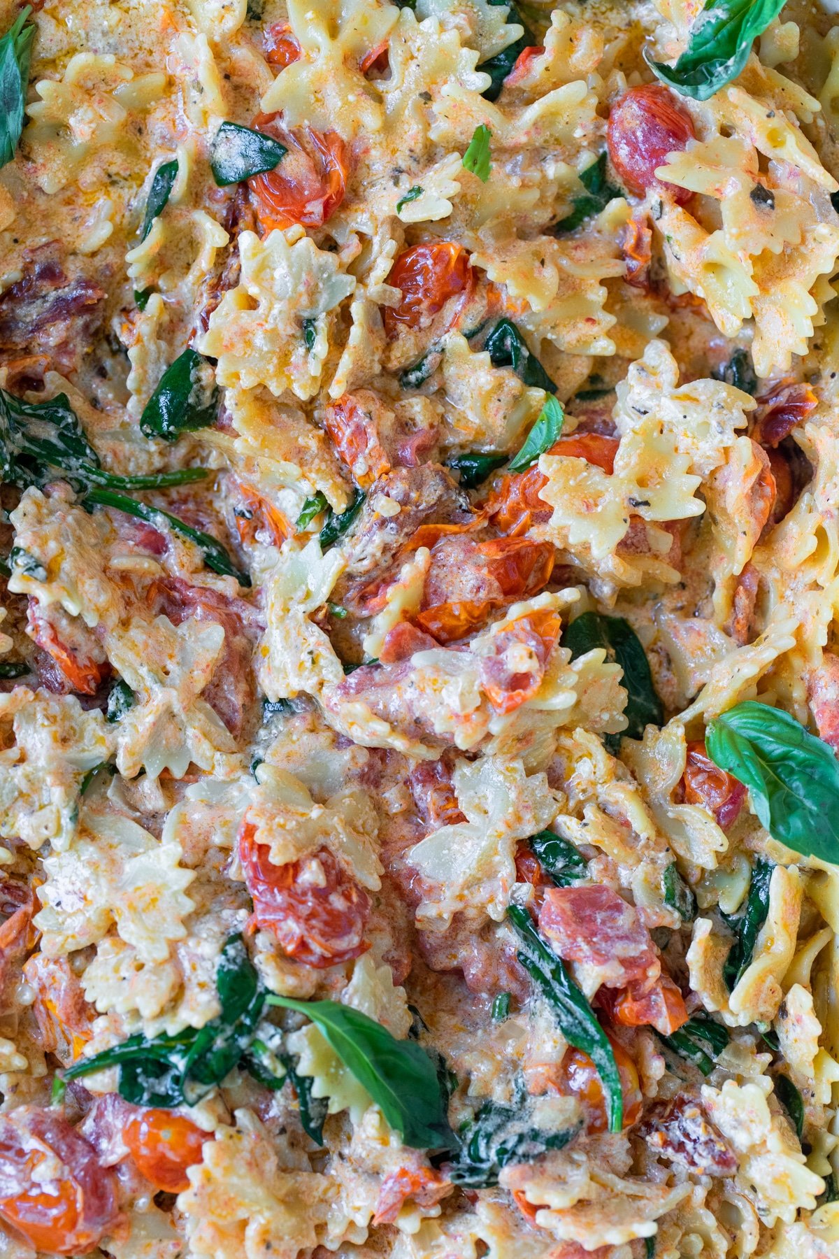 bowtie pasta with roasted tomatoes and basil