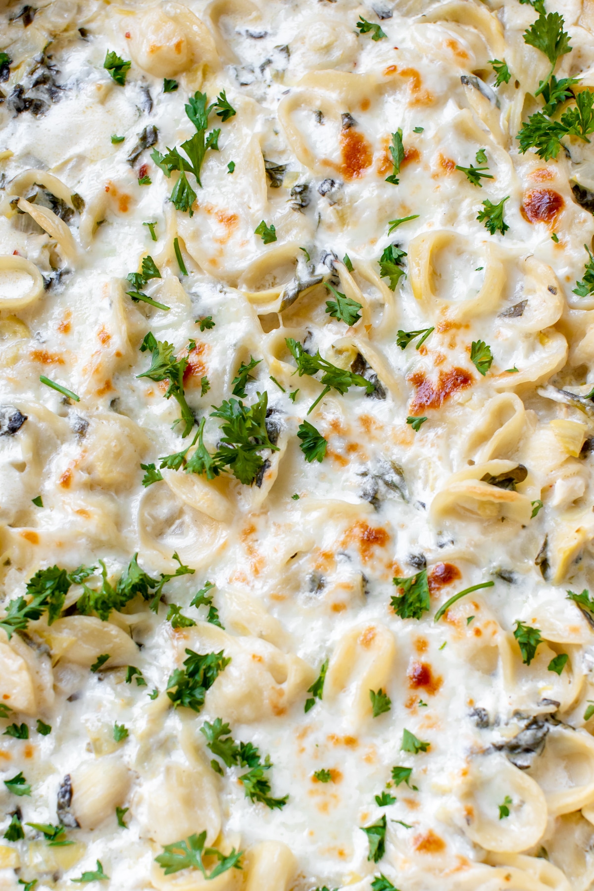 Creamy Spinach Artichoke Pasta-image