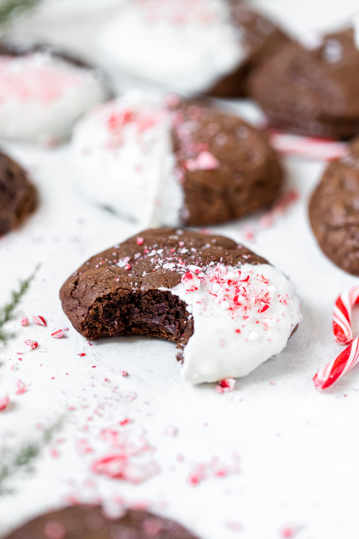 chocolate cookie dipped in white chocolate and garnished with candy canes