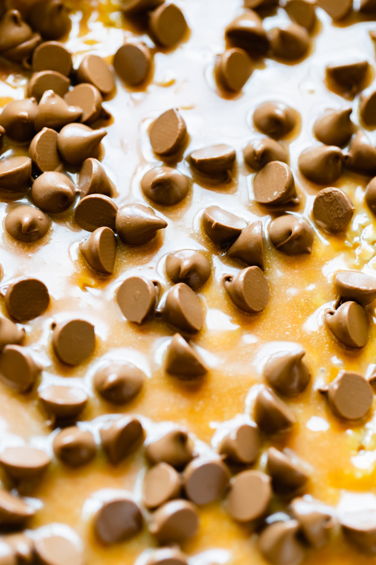 an up close image of caramel and milk chocolate chips 