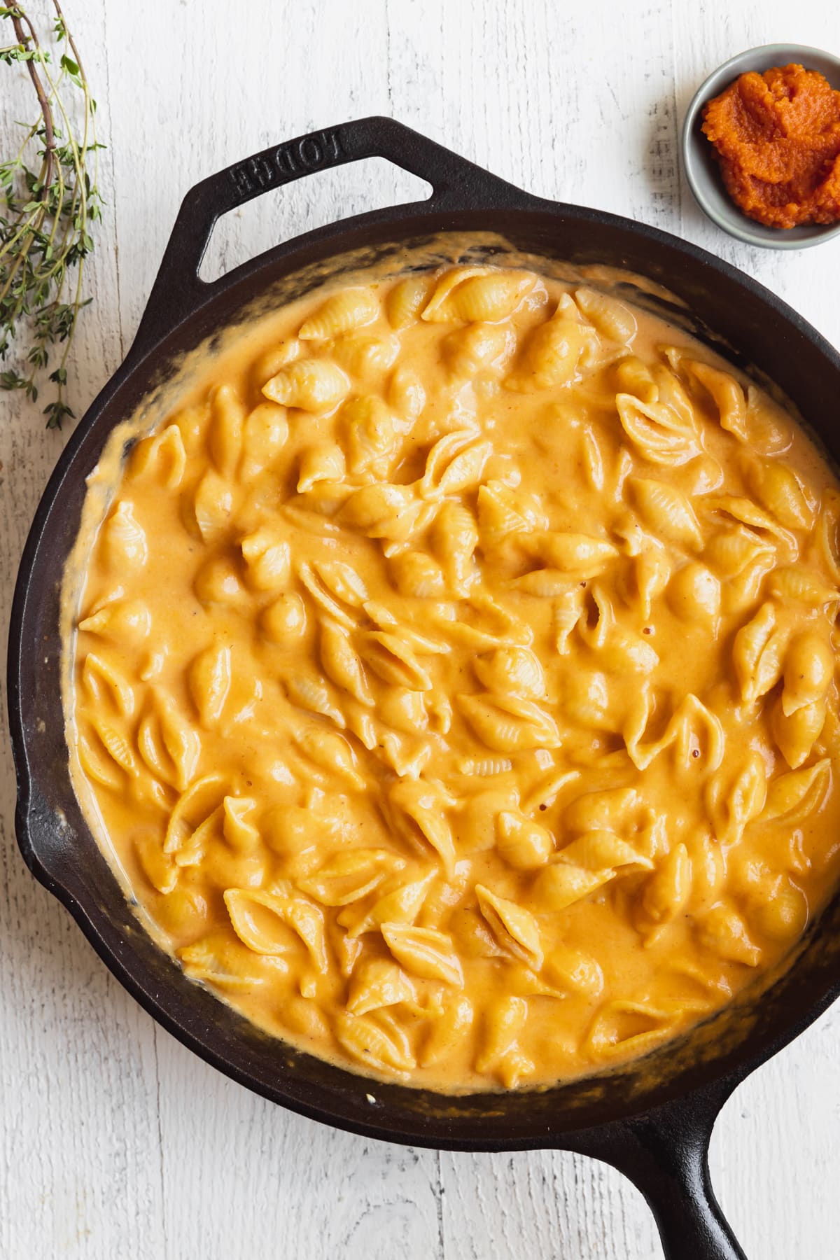 macaroni pasta in a cast iron skillet in a pumpkin cheddar cheese sauce. 