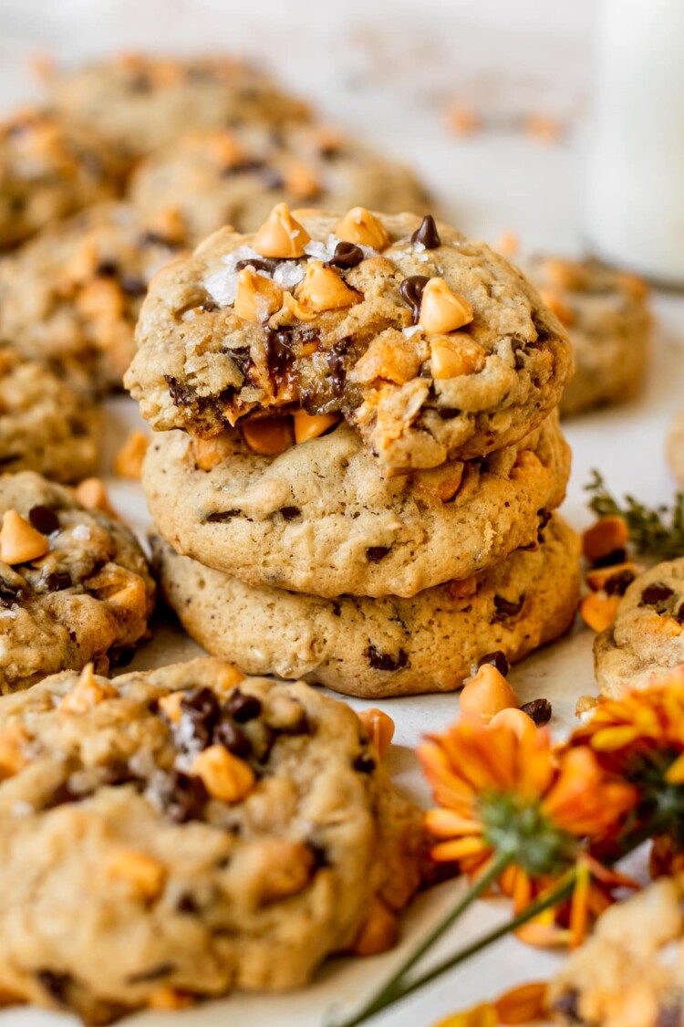 Butterscotch Chocolate Chip Cookies • Kroll's Korner