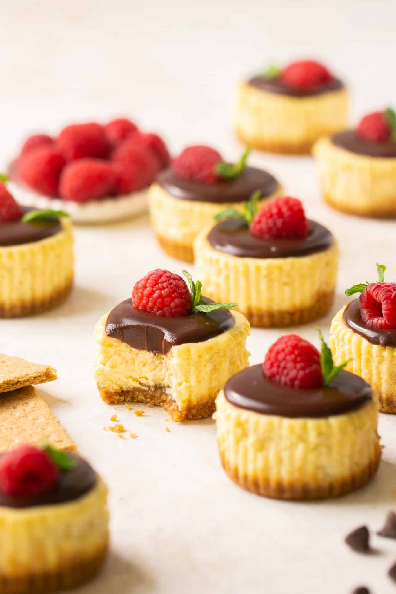 Mini Cheesecake Bites • Kroll's Korner