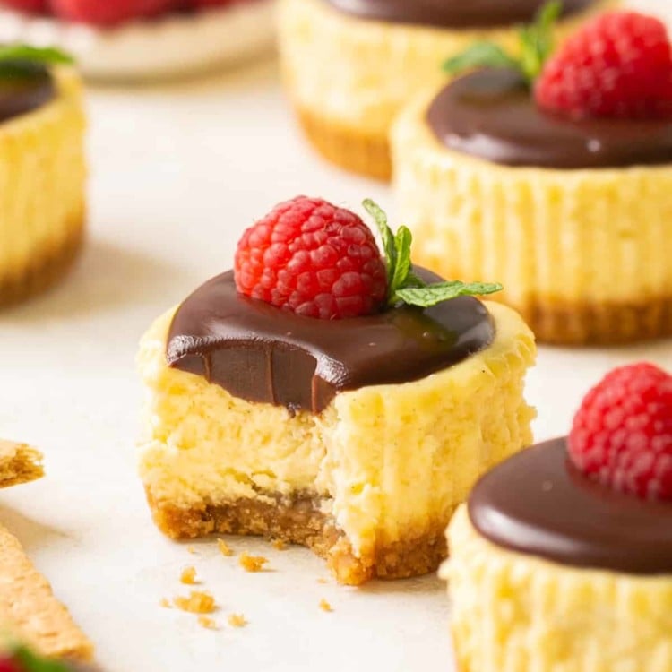 mini cheesecake bites with chocolate topping and raspberry.