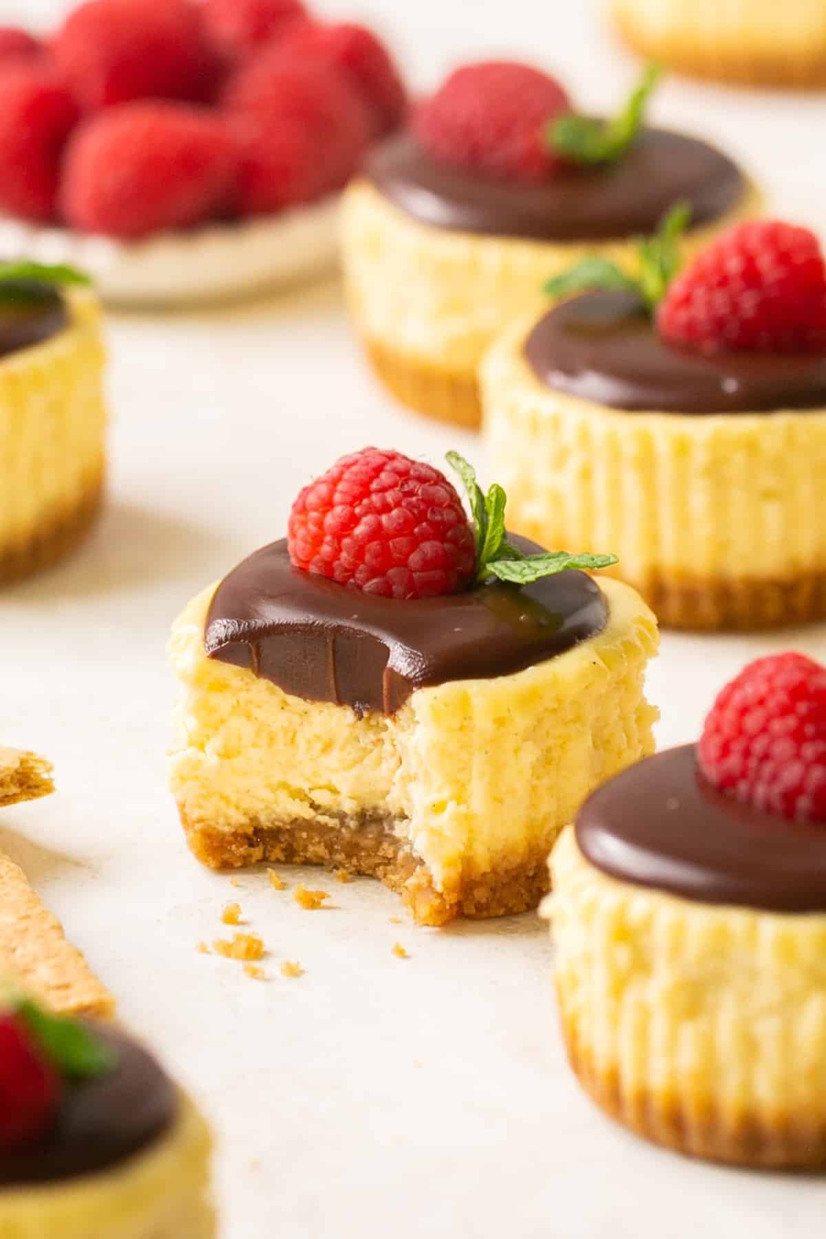 mini cheesecake bites with chocolate topping and raspberry.