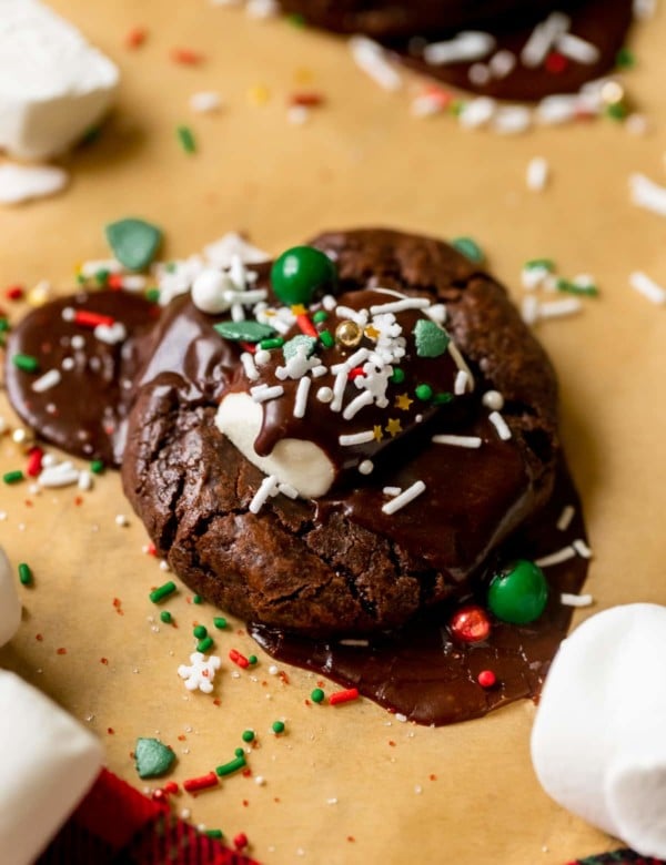 chocolate cookie with red green and white sprinkles.