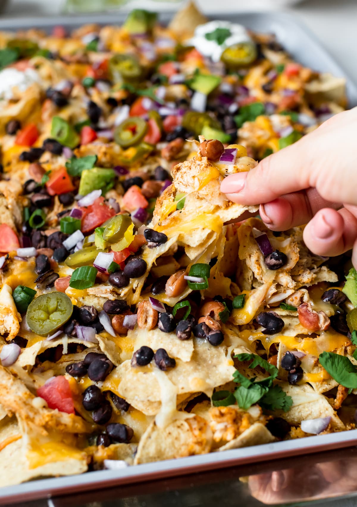 nachos on a a sheet pan garnished with green onions, jalapenos, sour cream, cilantro, red onions and tomatoes. 