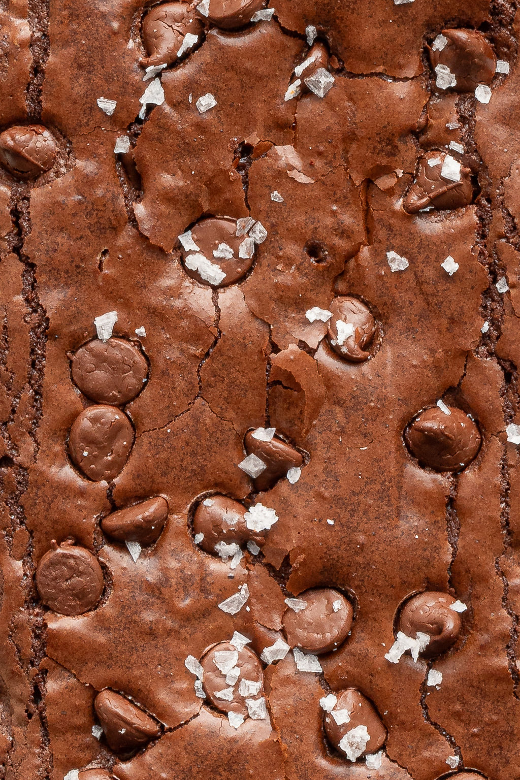 Ultra close-up of the brownie top, showing a cracked, shiny surface dotted with chocolate chips and coarse flakes of sea salt.