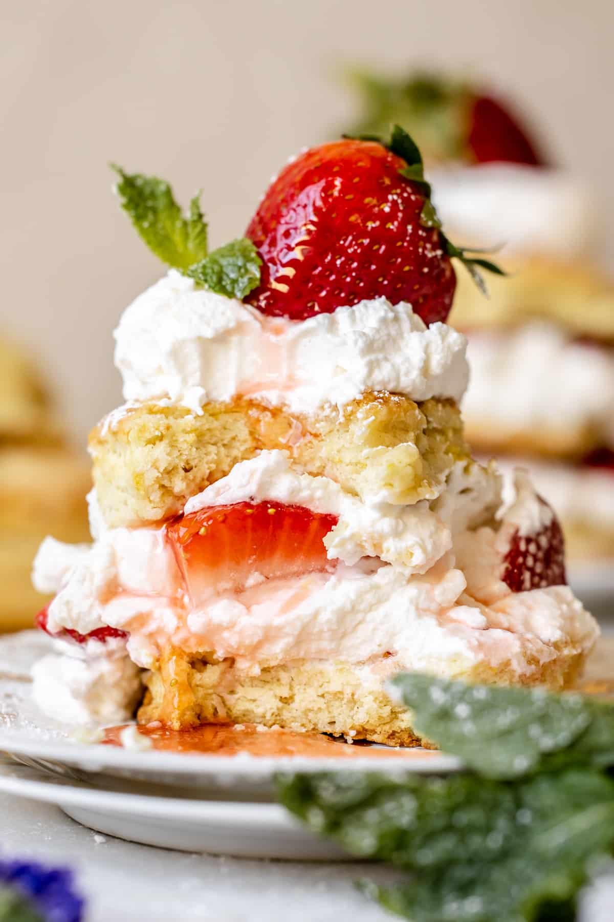 strawberry shortcake on a white china plate garnished with whipped cream, strawberries, mint and powdered sugar. 