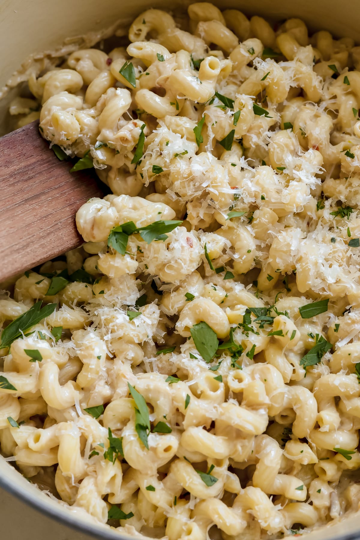 pasta in a creamy sauce garnished with cheese and parsley. 