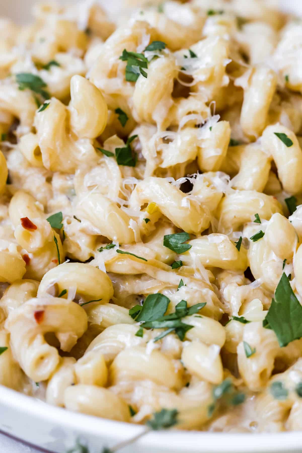 a close up image of french onion pasta. 