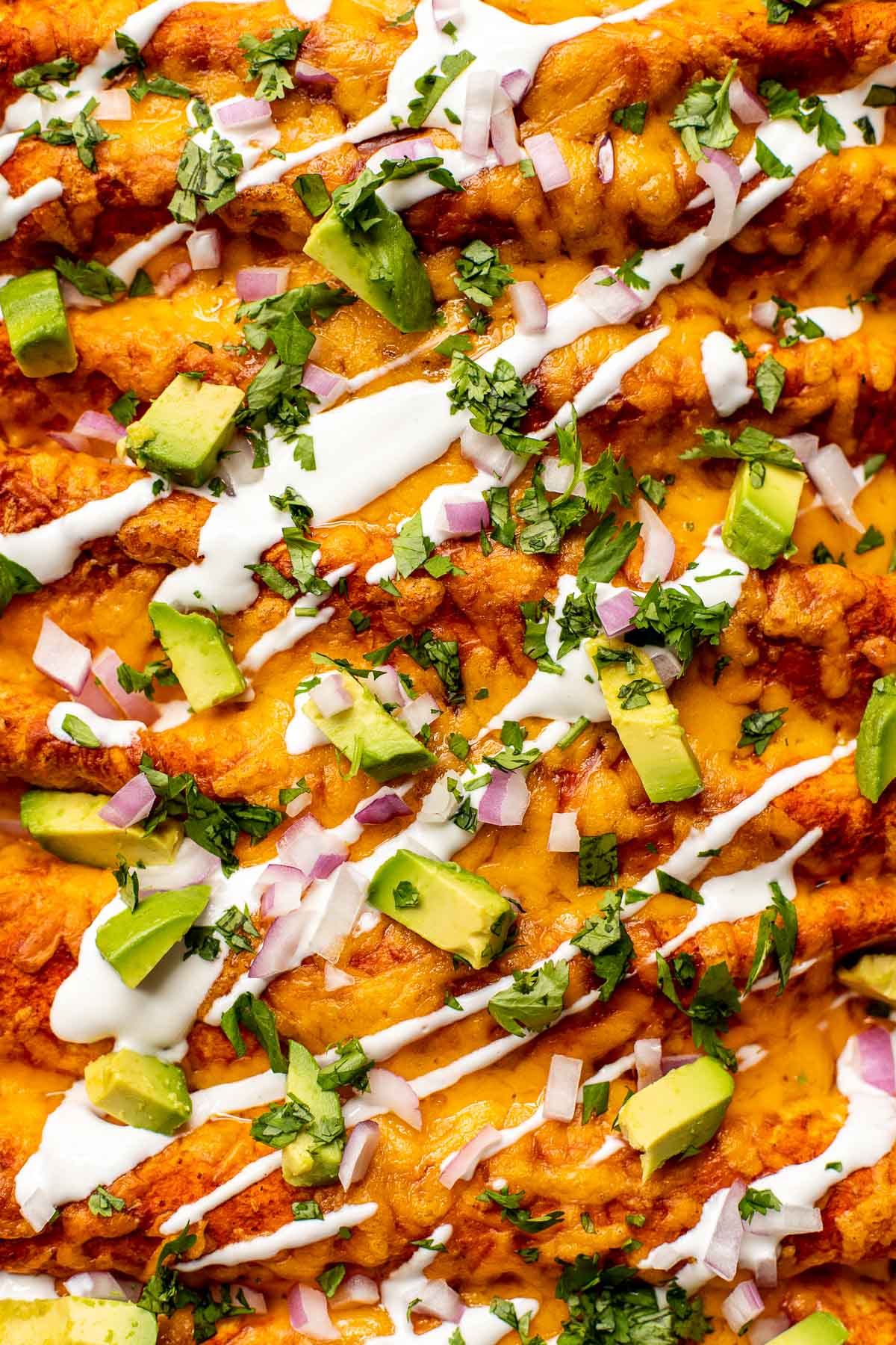 an up close photo of enchiladas in a garnished with sour cream, avocado, cilantro and red onion. 