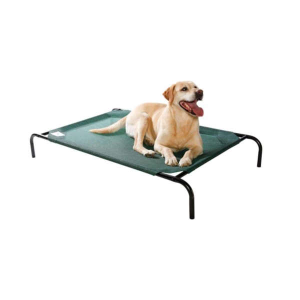 green dog bed with large dog on it