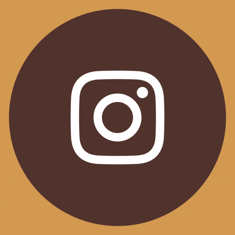 instagram camera icon in a brown circle