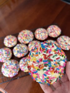 IMG_1169.jpeg