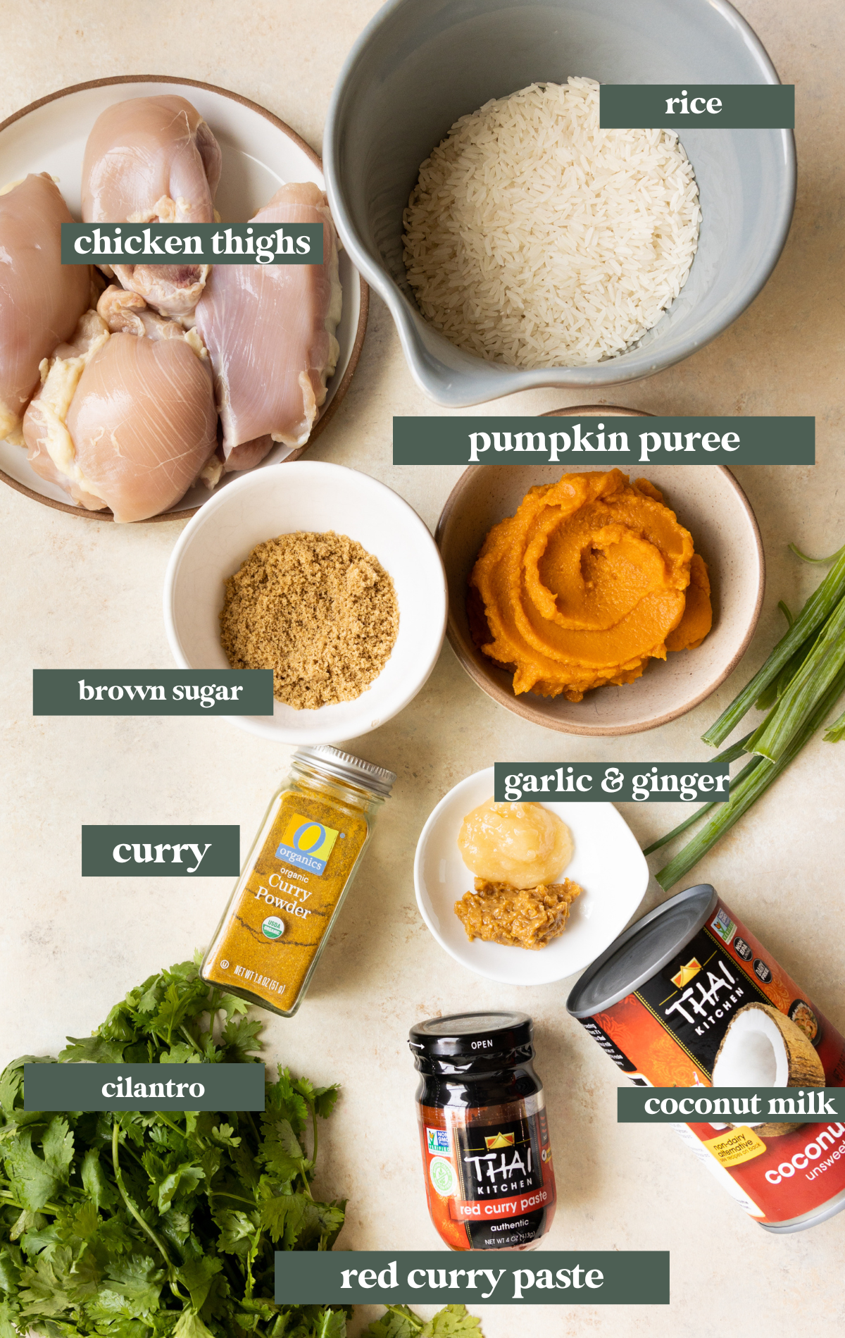 ingredients to make a chicken curry with pumpkin puree in small glass bowls. 