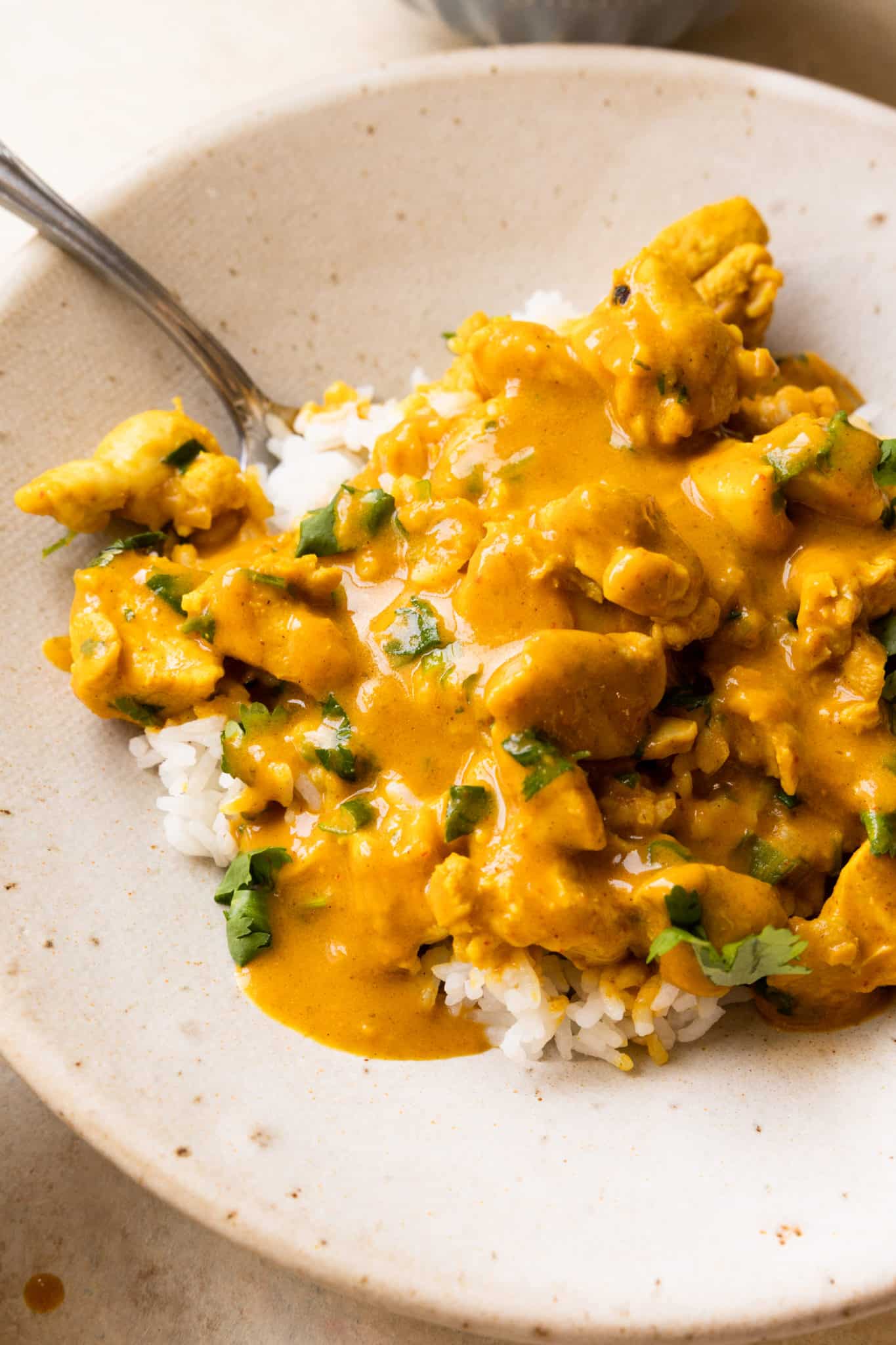 pumpkin curry made with chicken served over white rice. 