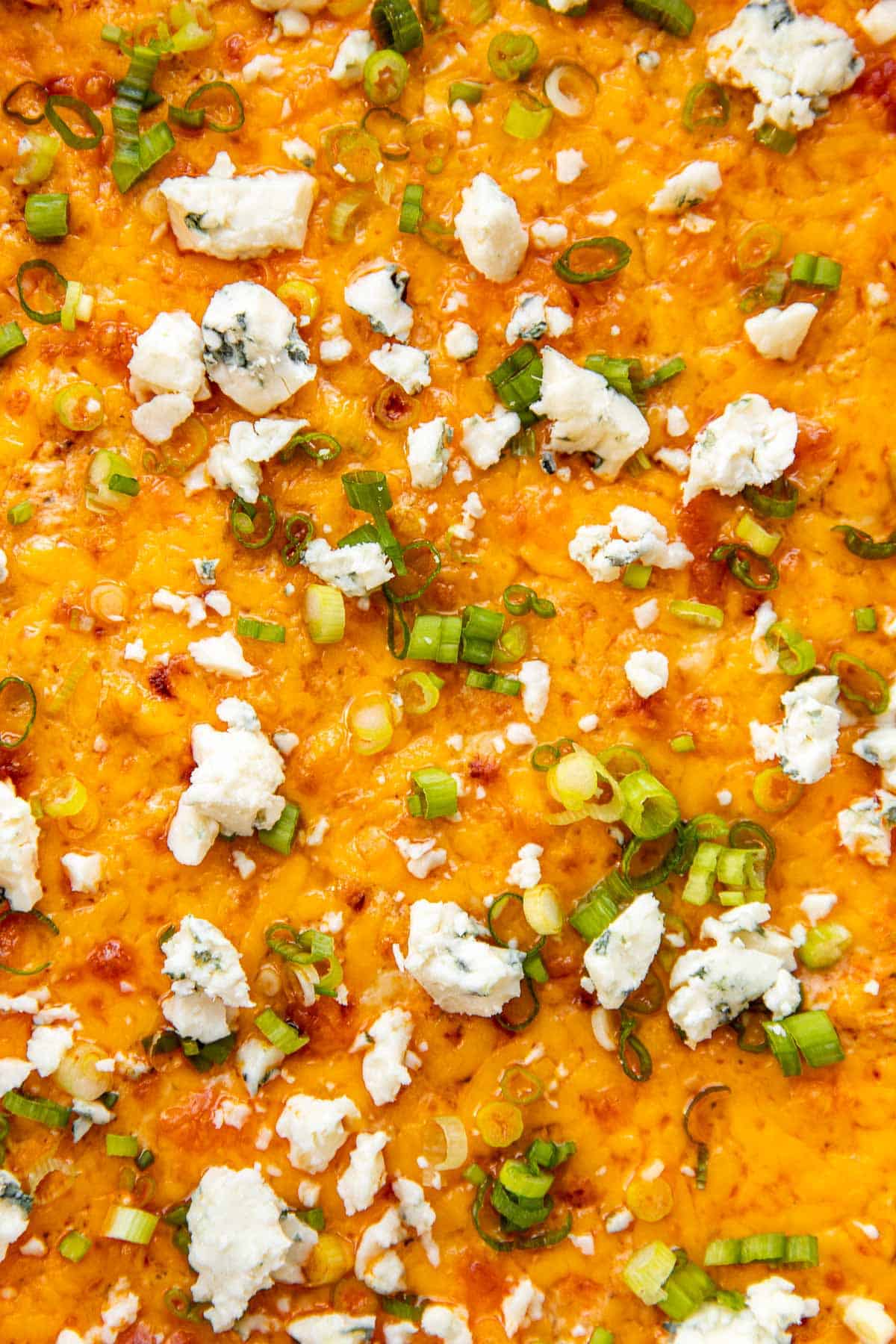 a close up image of buffalo chicken dip garnished with green onions and bleu cheese. 