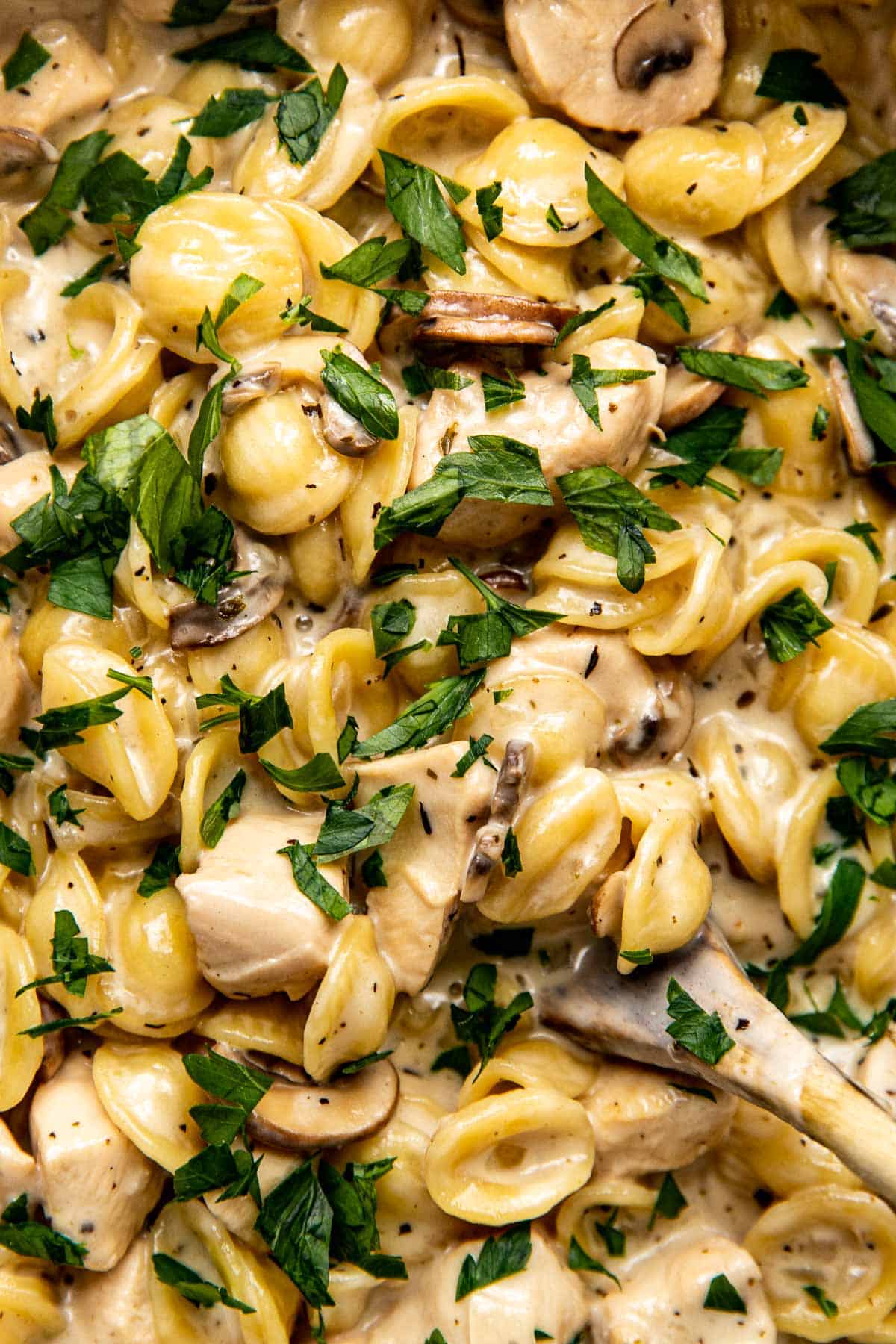 an up close image of pasta with parsley on top. 