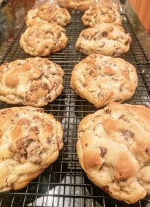 Giant Chocolate Chip Cookies Kroll's Kookies