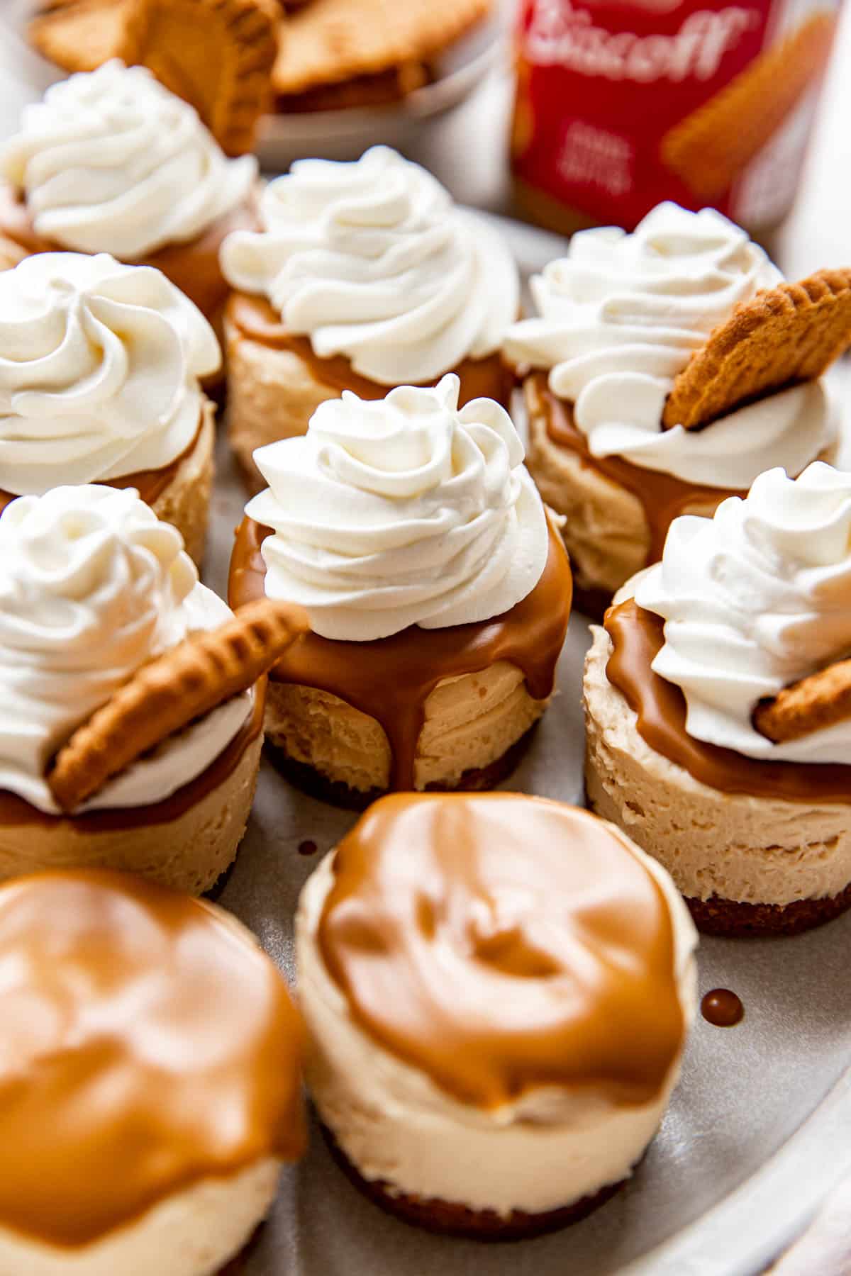 mini biscoff cheesecakes with whipped cream on top. 