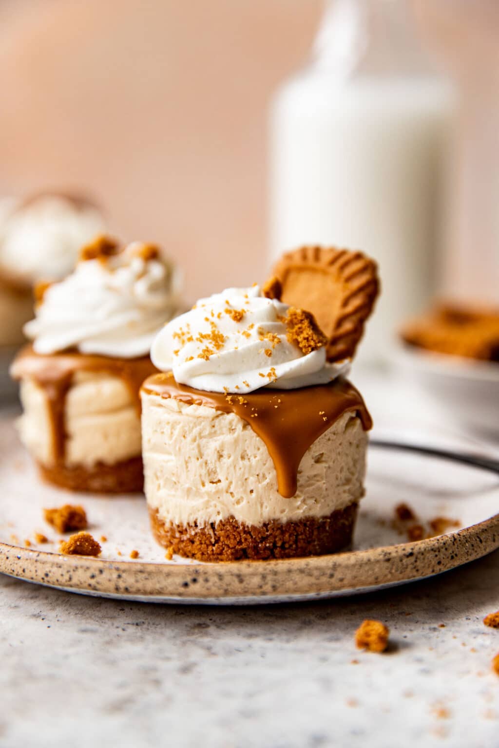 No Bake Mini Biscoff Cheesecakes • Kroll's Korner