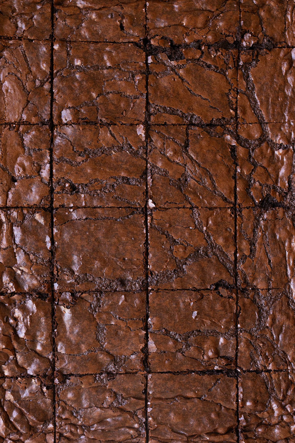 a close up image of brownies cut into squares.